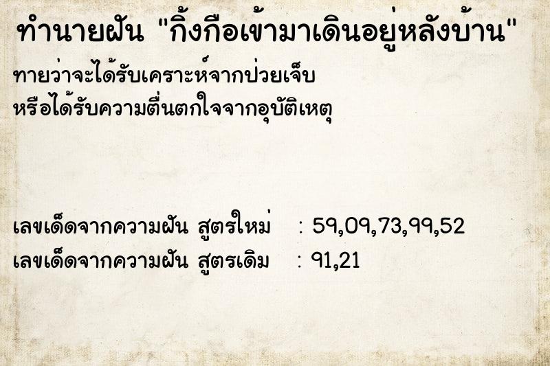 ทำนายฝันกิ้งกือเข้ามาเดินอยู่หลังบ้าน ทำนายฝันทำนายฝันกิ้งกือเข้ามาเดินอยู่หลังบ้าน