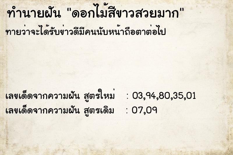 ทำนายฝัน ดอกไม้สีขาวสวยมาก ทำนายฝัน ดอกไม้สีขาวสวยมาก