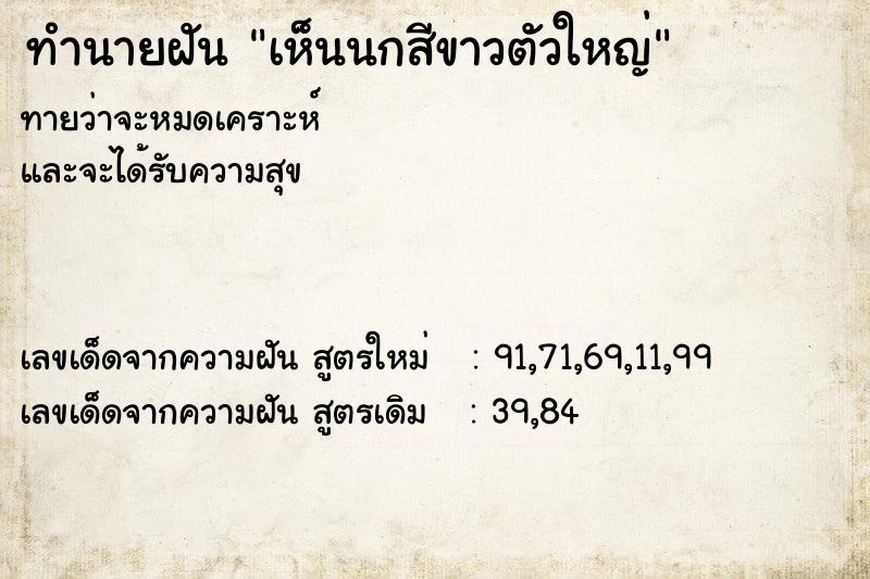 ทำนายฝันทำนายฝันเห็นนกสีขาวตัวใหญ่