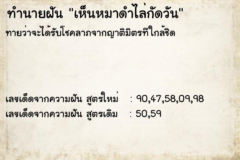 ทำนายฝันทำนายฝันเห็นหมาดำไล่กัดวัน