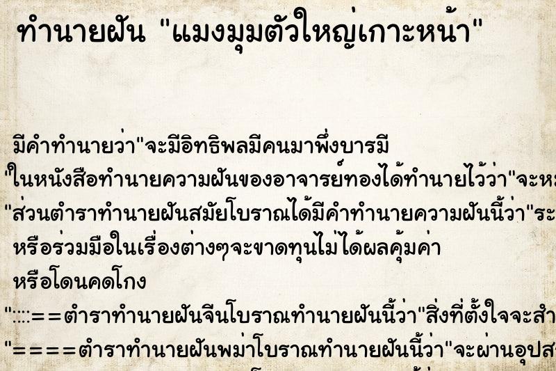 ทำนายฝัน แมงมุมตัวใหญ่เกาะหน้า