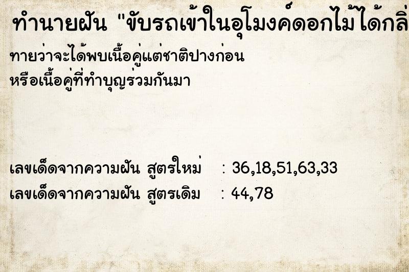 ทำนายฝันทำนายฝันขับรถเข้าในอุโมงค์ดอกไม้ได้กลิ่นหอม