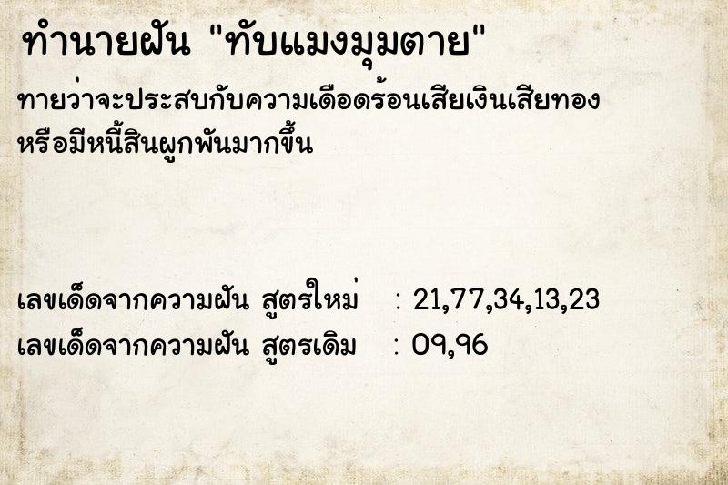 ทำนายฝันทับแมงมุมตาย ทำนายฝันทำนายฝันทับแมงมุมตาย