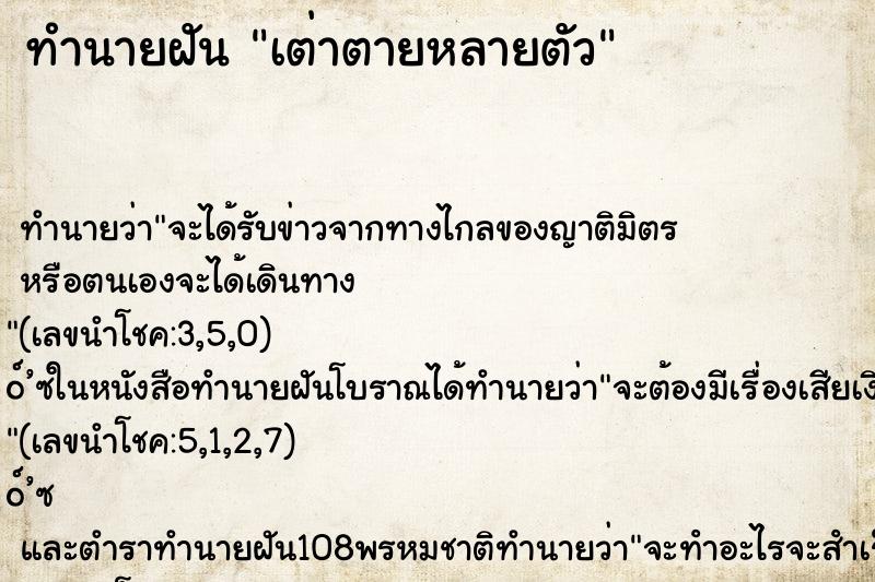 ทำนายฝัน เต่าตายหลายตัว ทำนายฝัน เต่าตายหลายตัว