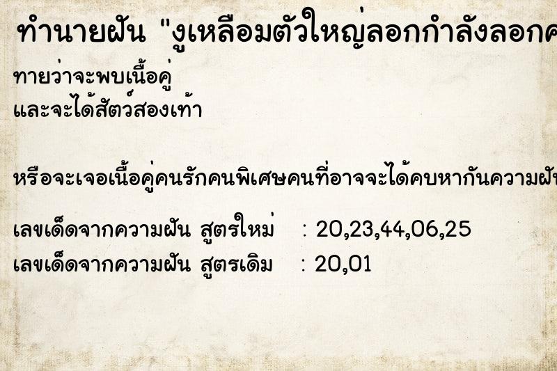 ทำนายฝันทำนายฝันงูเหลือมตัวใหญ่ลอกกำลังลอกคราบ