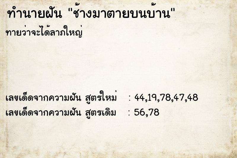 ทำนายฝันช้างมาตายบนบ้าน ทำนายฝันทำนายฝันช้างมาตายบนบ้าน