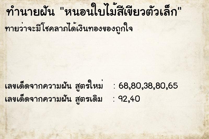 ทำนายฝันหนอนใบไม้สีเขียวตัวเล็ก ทำนายฝันทำนายฝันหนอนใบไม้สีเขียวตัวเล็ก