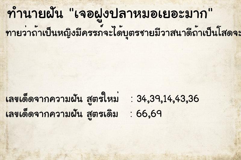 ทำนายฝัน เจอฝูงปลาหมอเยอะมาก ทำนายฝัน เจอฝูงปลาหมอเยอะมาก