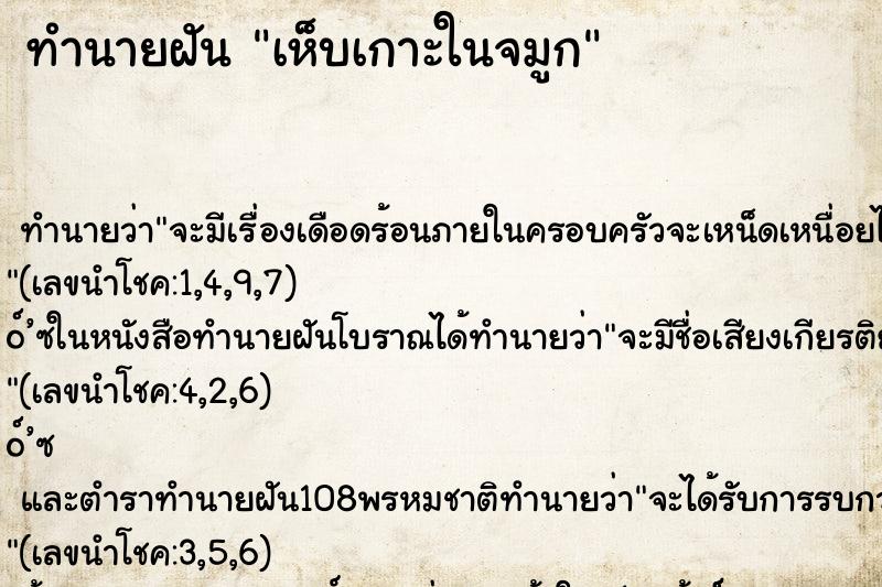 ทำนายฝันทำนายฝันเห็บเกาะในจมูก