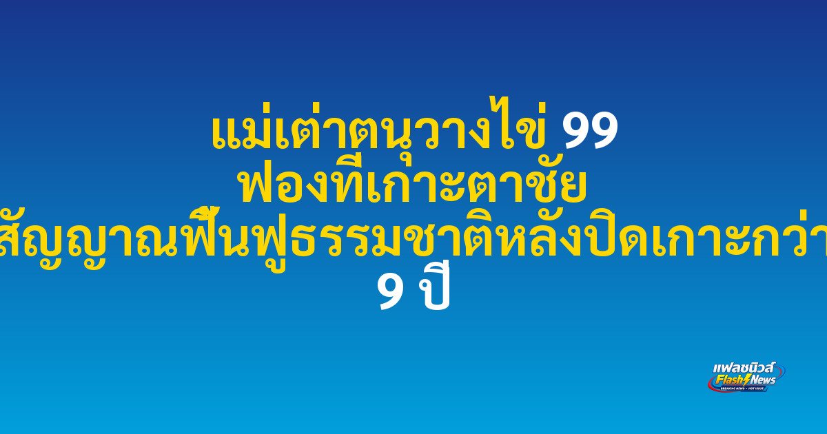 แม่เต่าตนุวางไข่ 99 ฟองที่เกาะตาชัย สัญญาณฟื้นฟูธรรมชาติหลังปิดเกาะกว่า 9 ปี